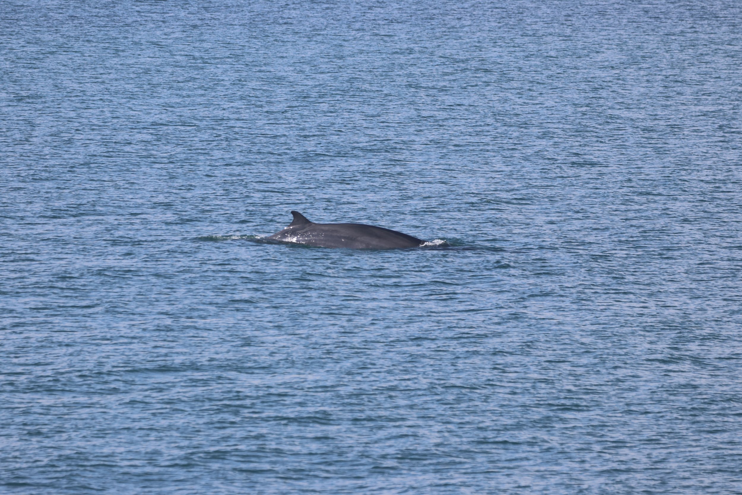 Tuesday, 9th June 2026