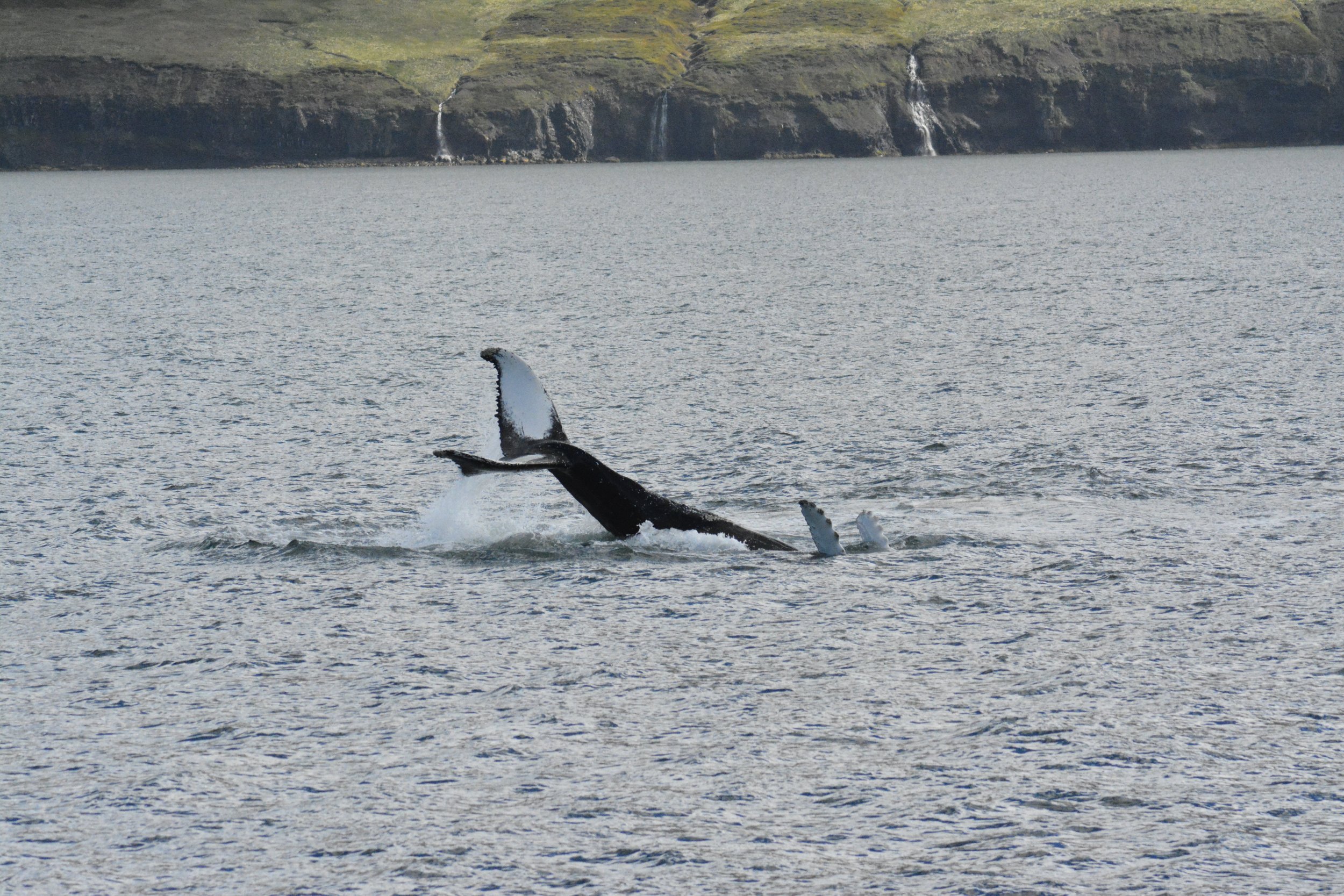 Tuesday, 9th June 2026