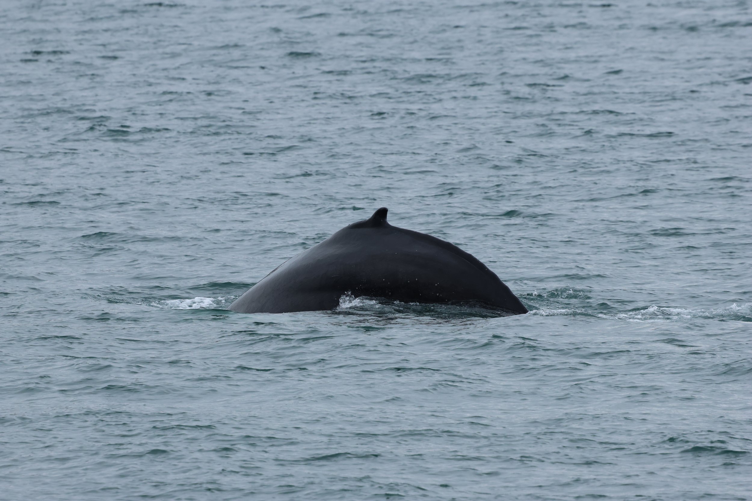 Thursday, 11th June 2026