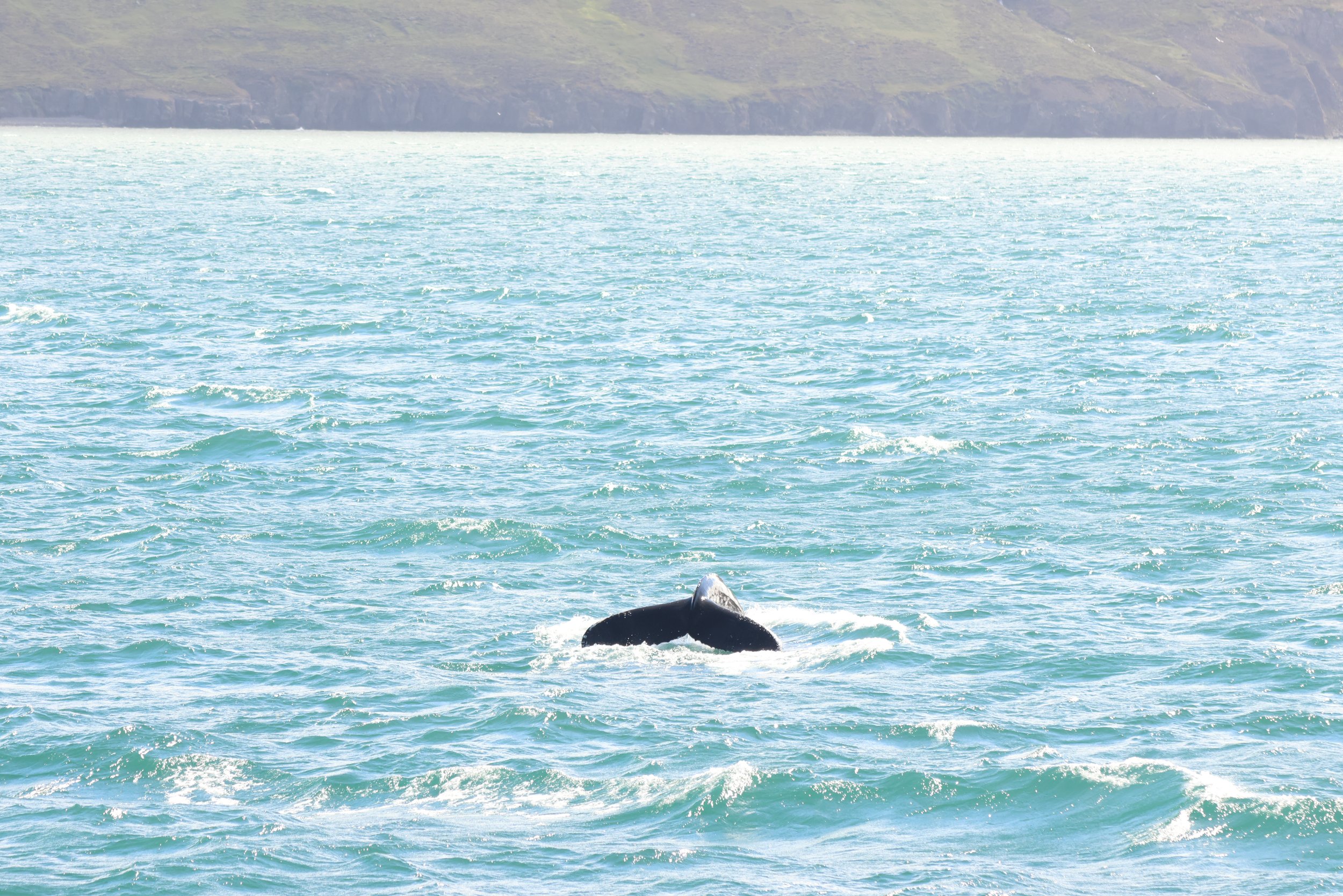 Friday, 12th June 2026