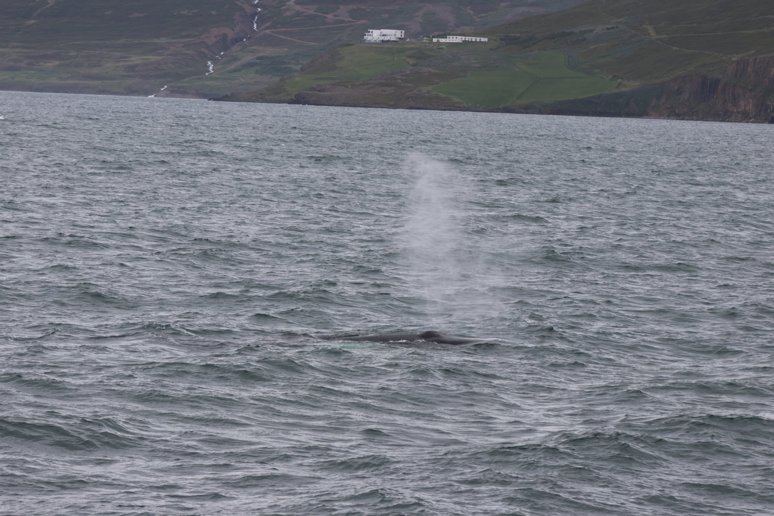 Friday, 12th June 2026