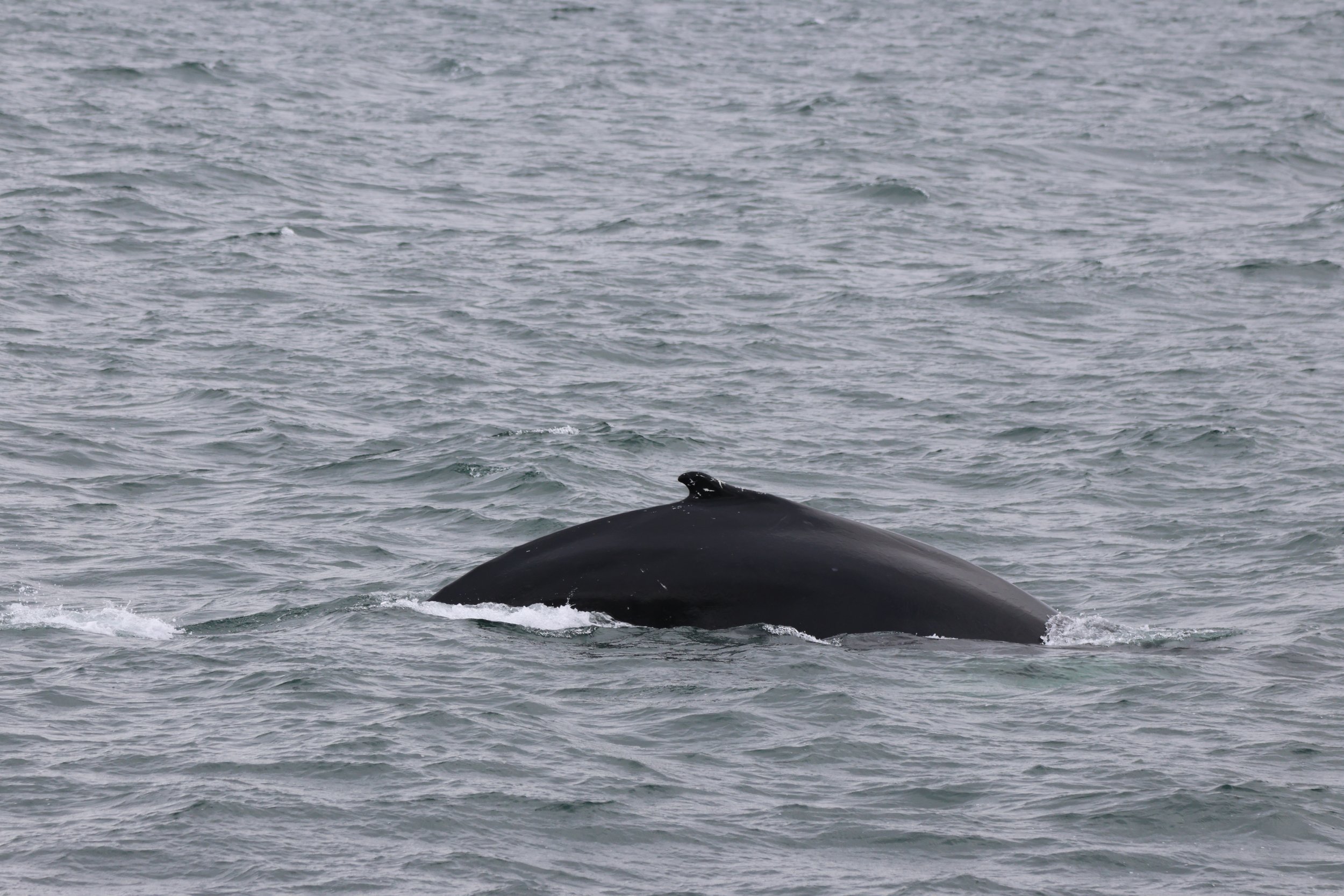 Friday, 12th June 2026