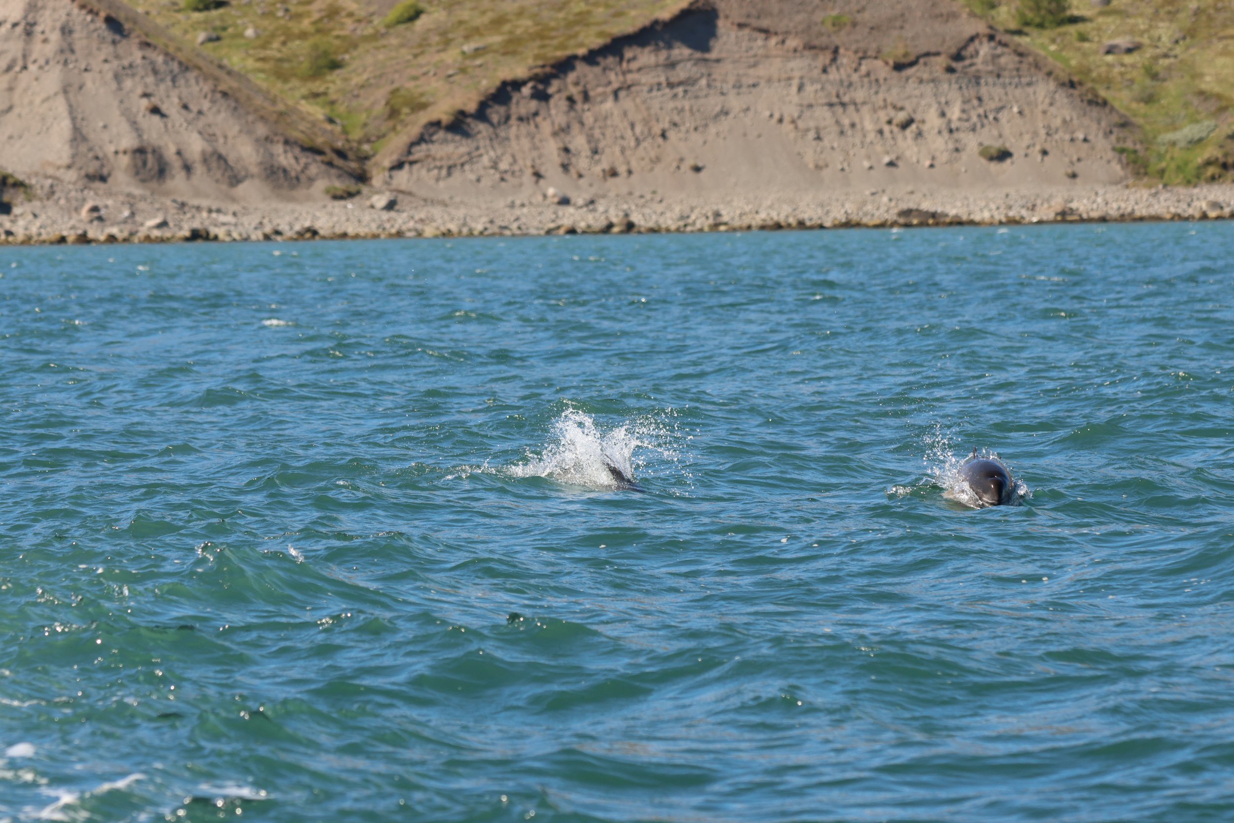 Saturday, 13th June 2026