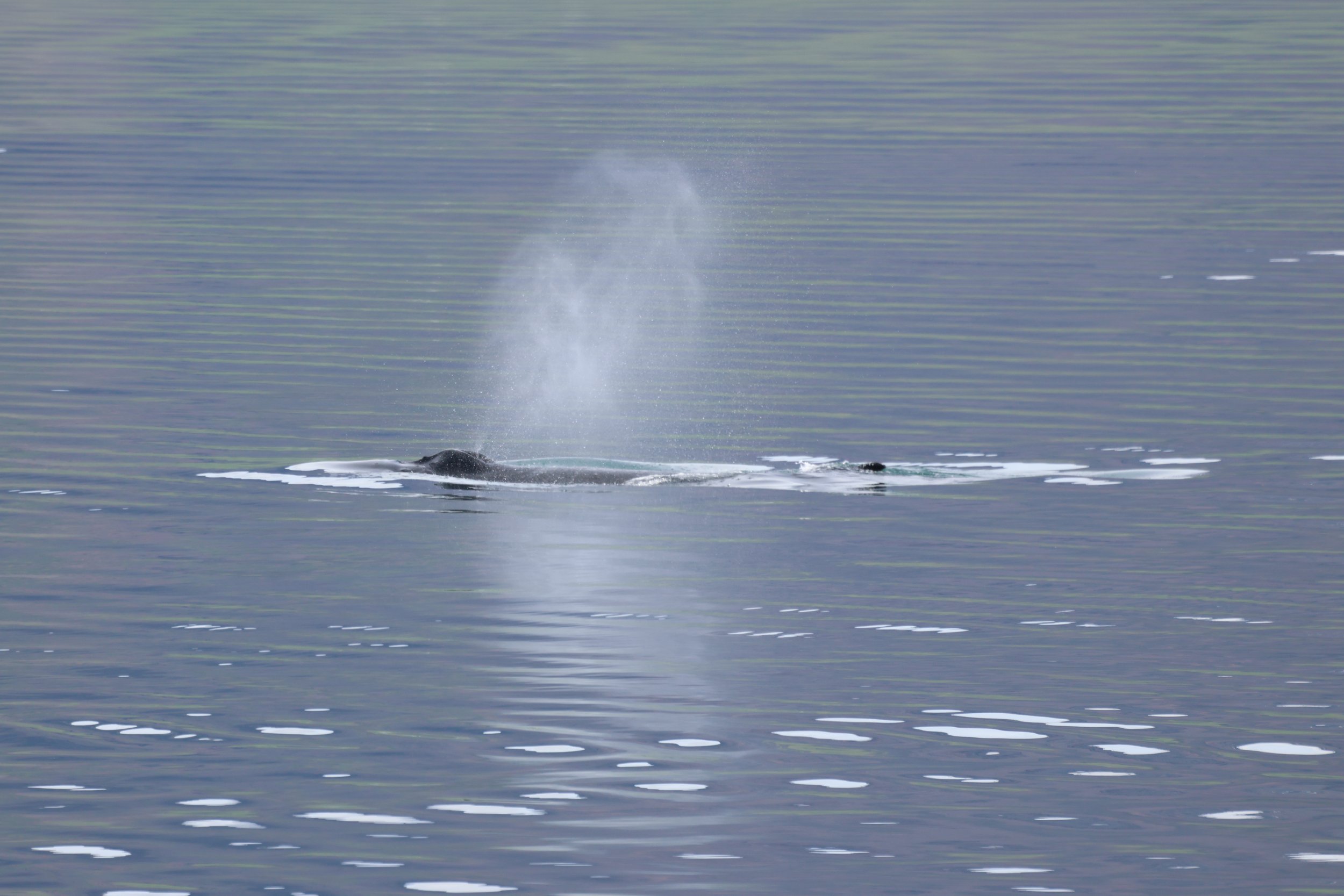 Saturday, 27th June 2026