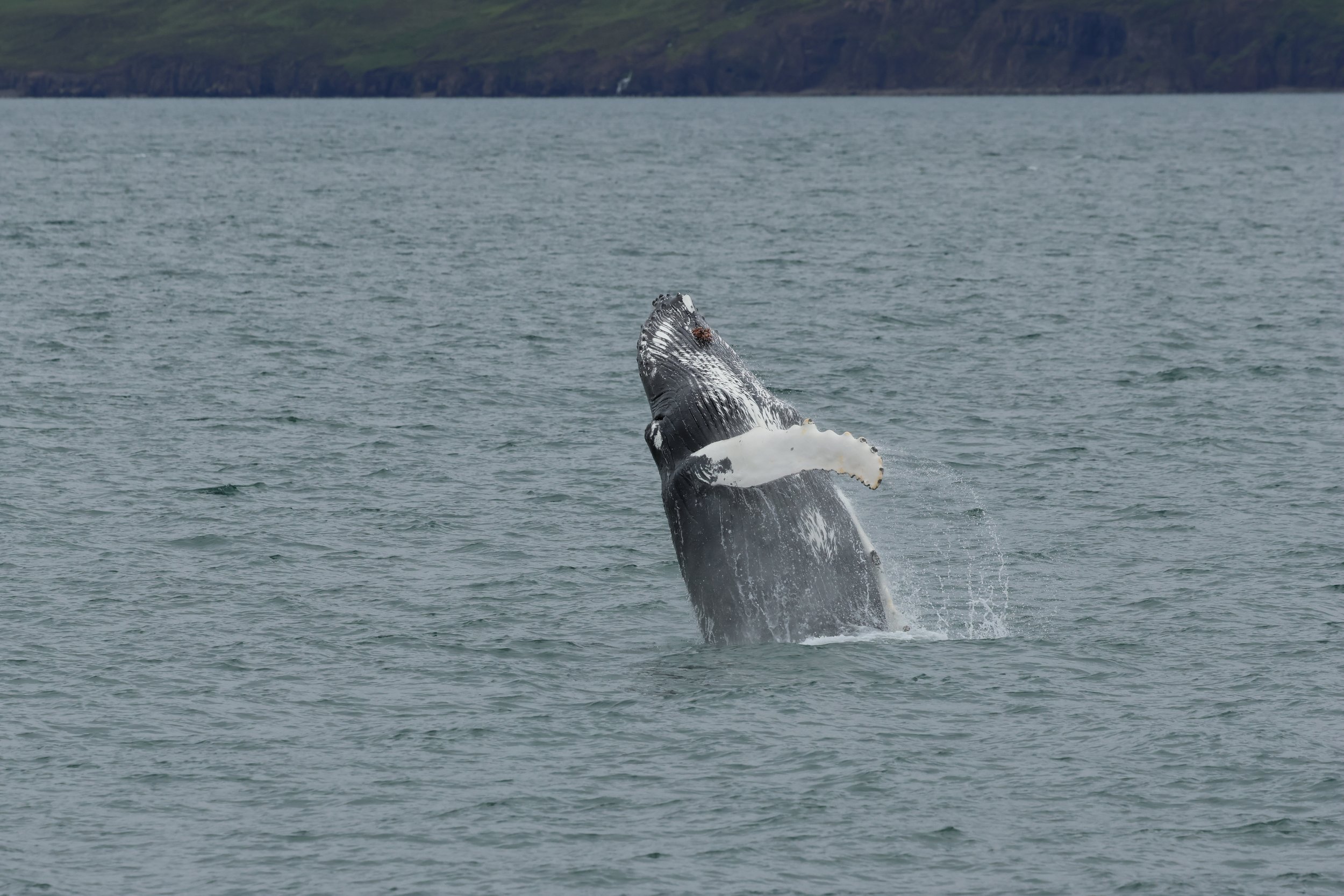 Sunday, 28th June 2026