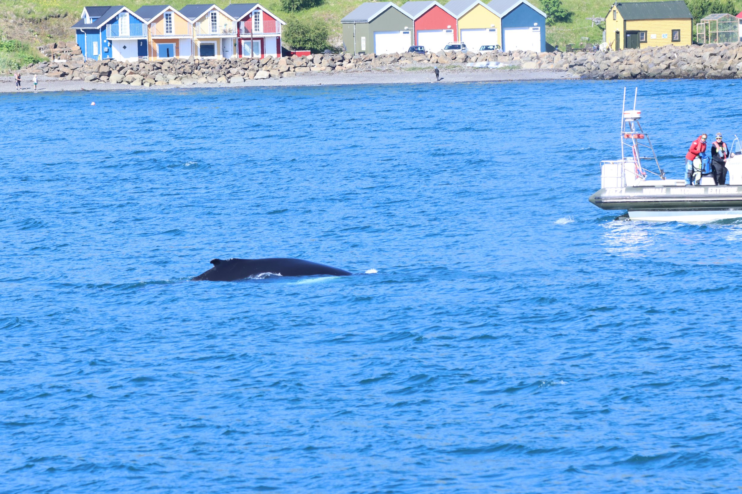 Friday, 17th July 2026