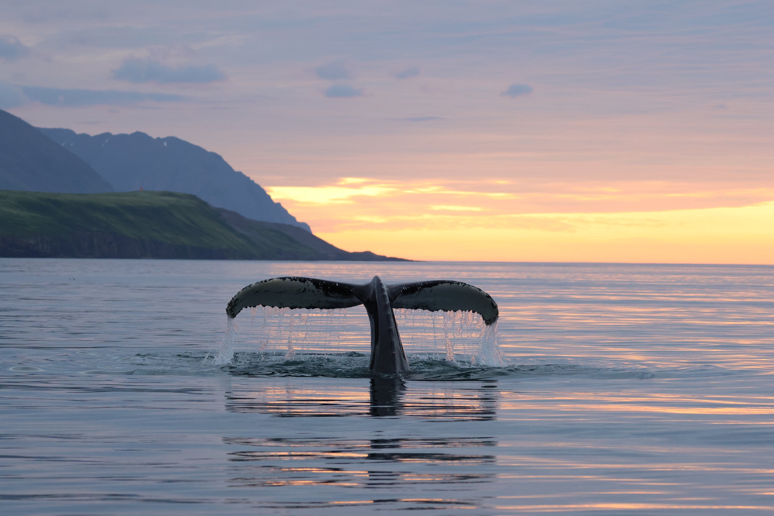 Tuesday, 21st July 2026