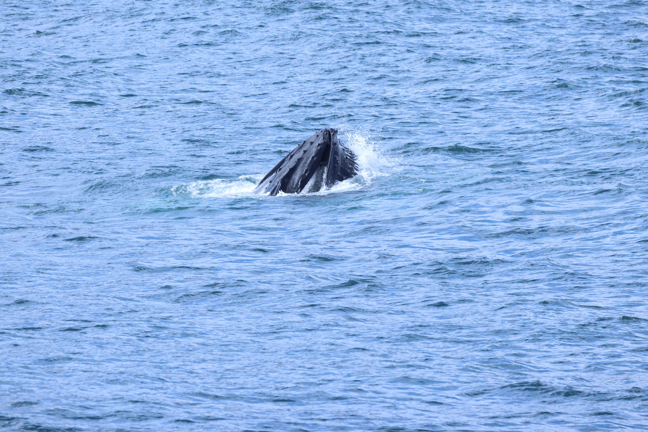 Sunday, 26th July 2026