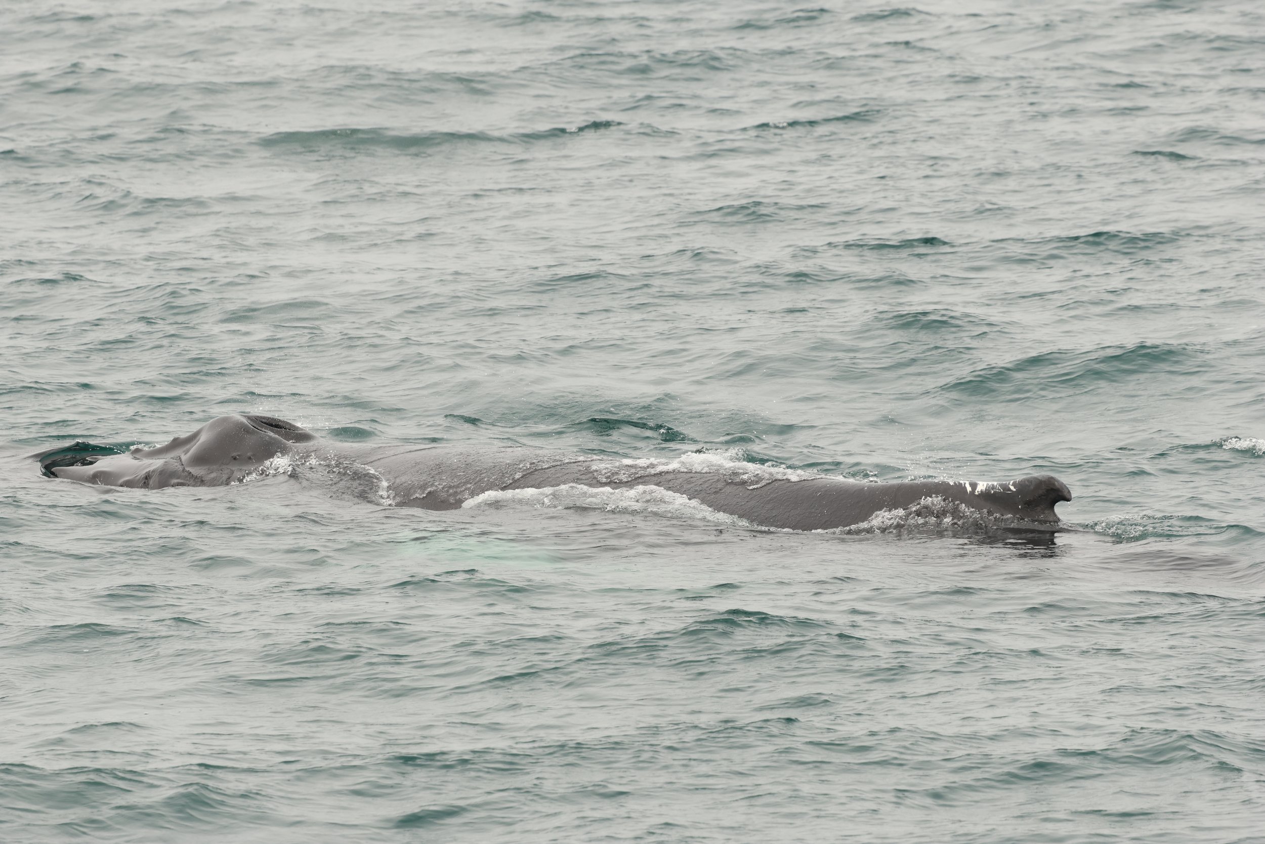 Tuesday, 18th August 2026