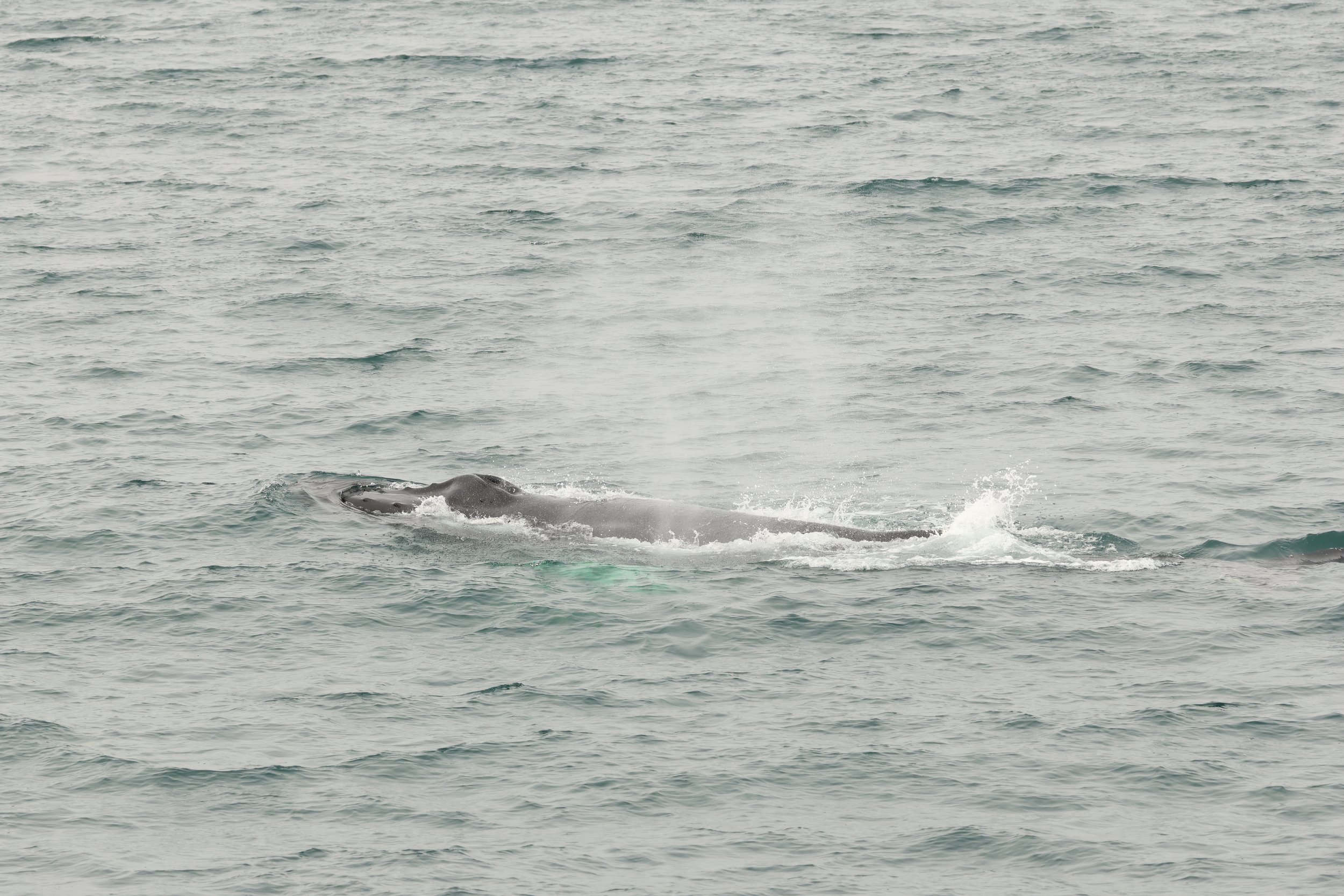 Tuesday, 18th August 2026