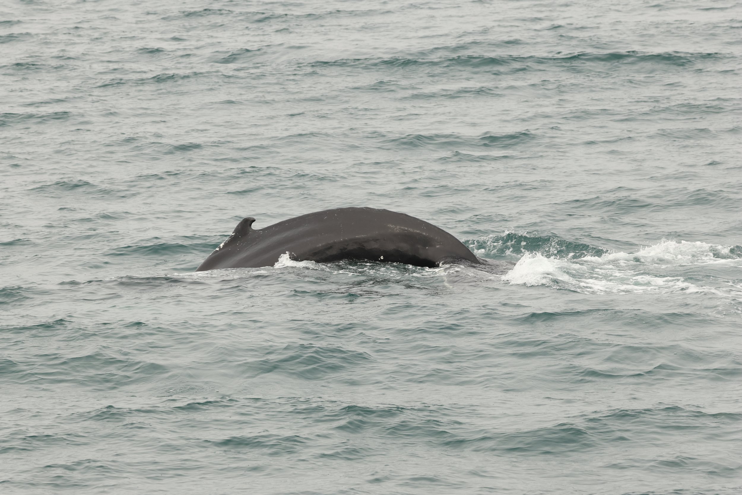 Tuesday, 18th August 2026