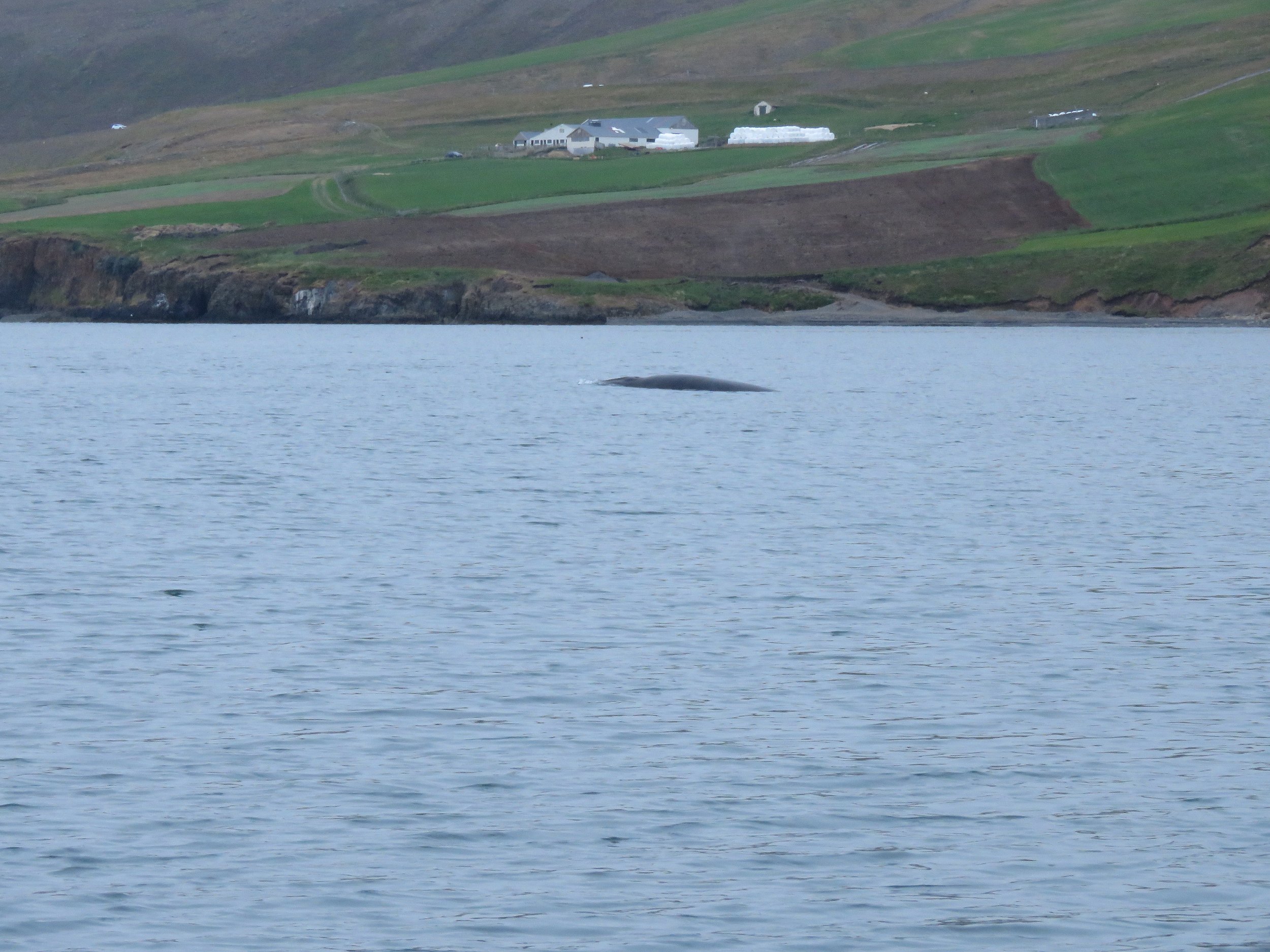 Wednesday, 19th August 2026