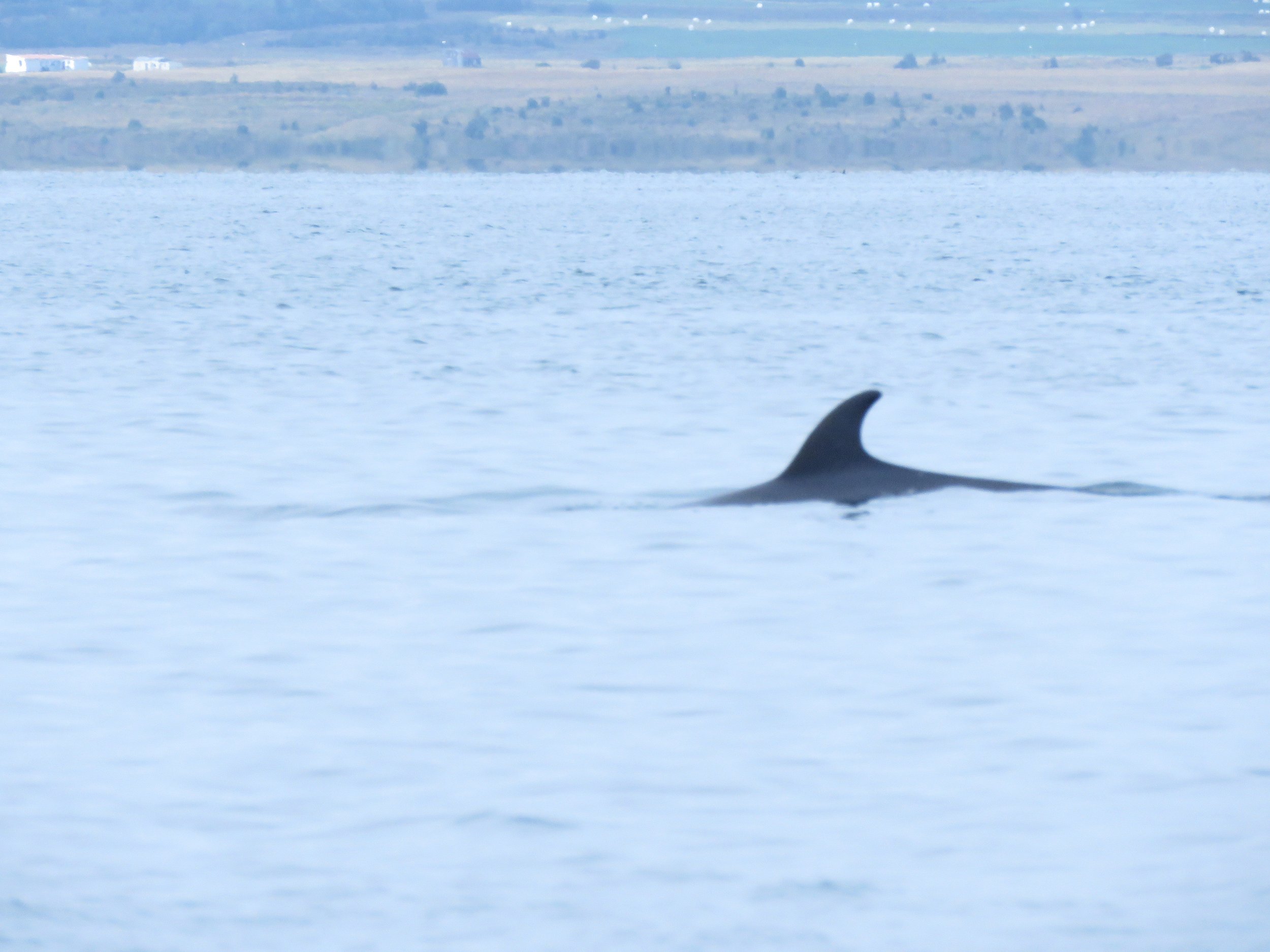 Wednesday, 19th August 2026