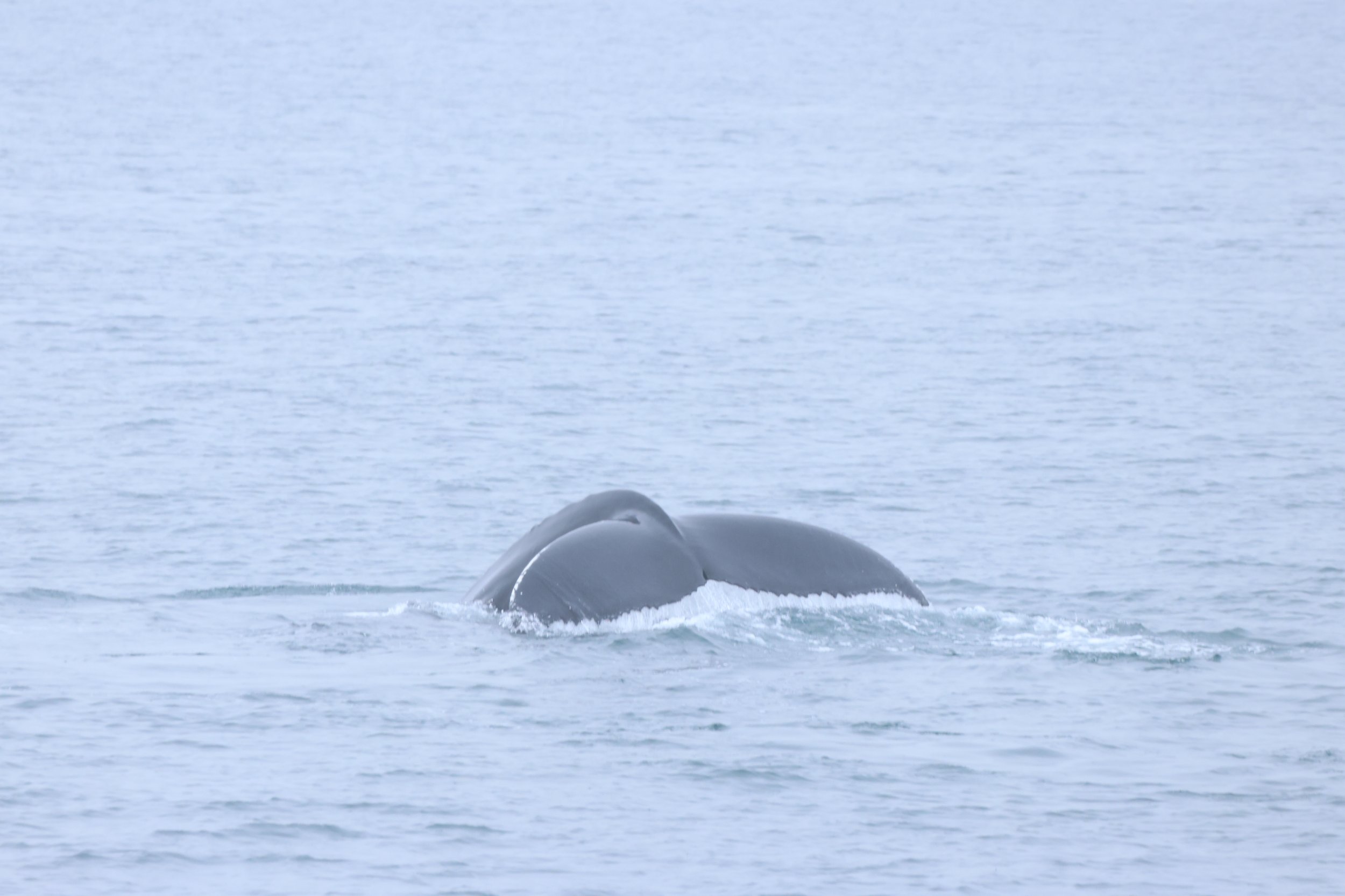 Monday, 24th August 2026