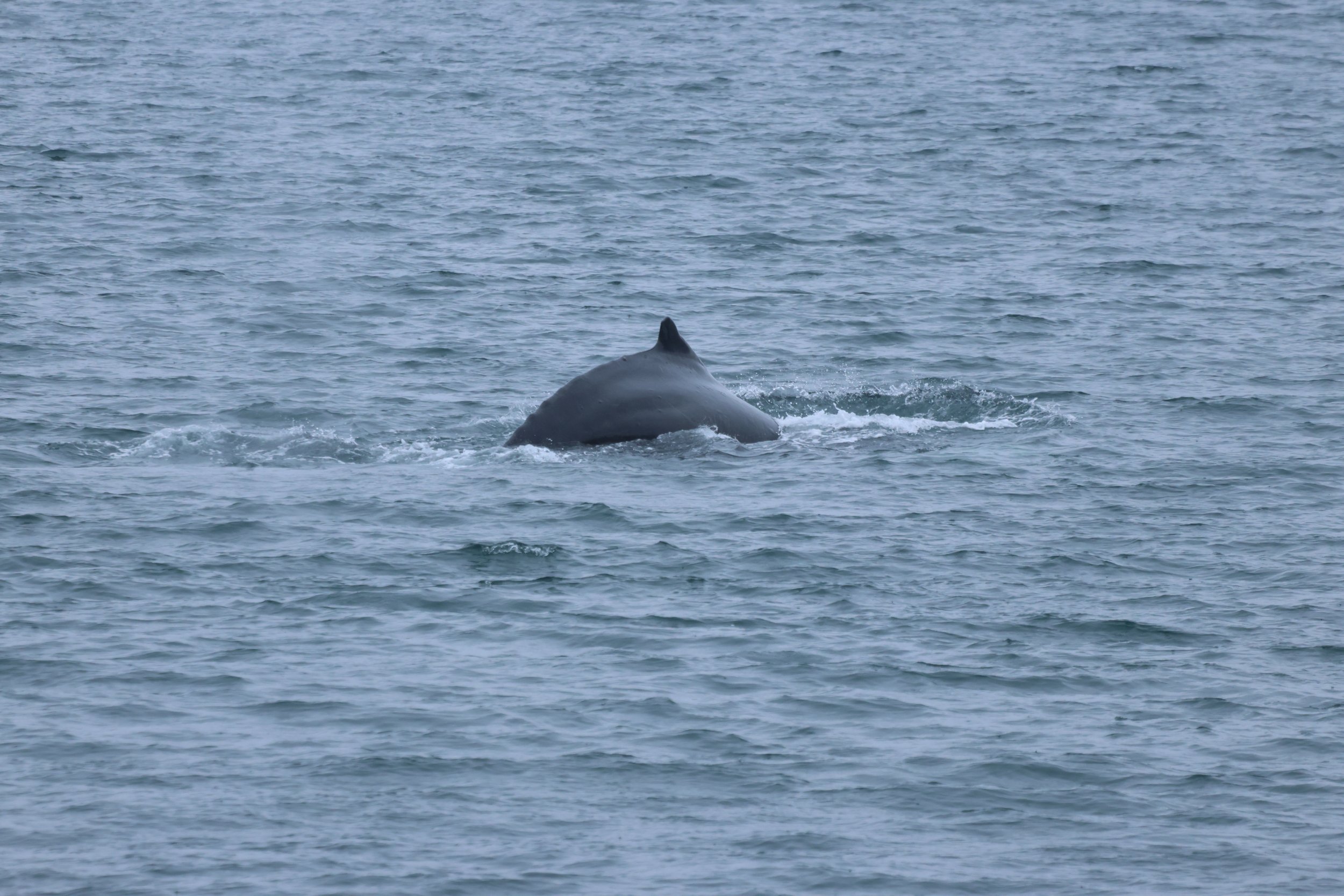 Monday, 24th August 2026