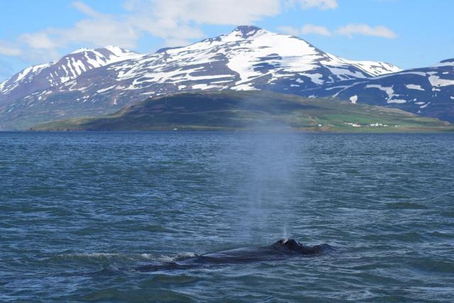 Tuesday, 21 June 2016
