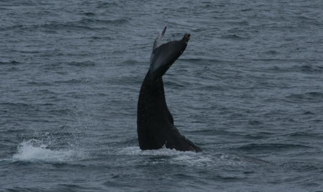 Wednesday, 5 July 2017