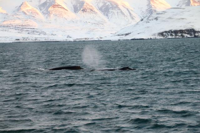 Tuesday, 28 November 2017