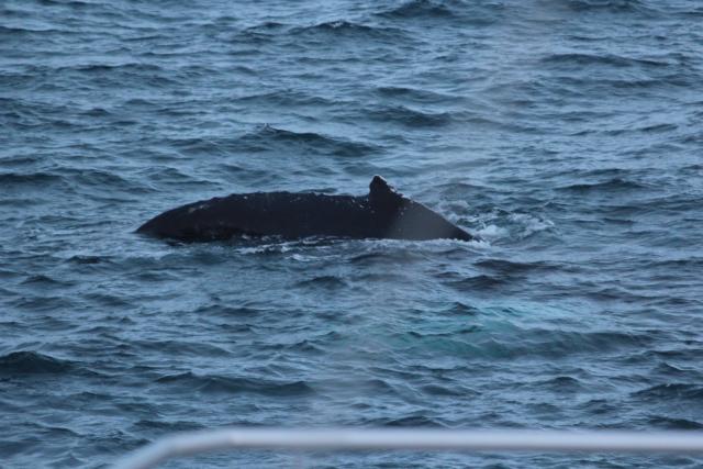 Thursday, 14 December 2017