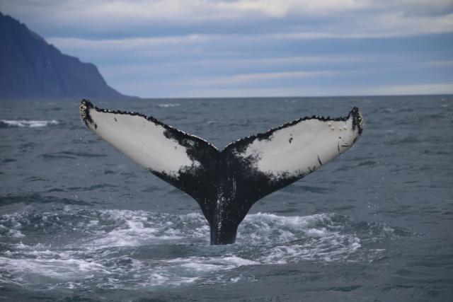 Tuesday, 10 July 2018