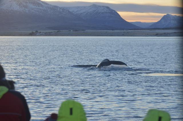 Tuesday, 27 November 2018