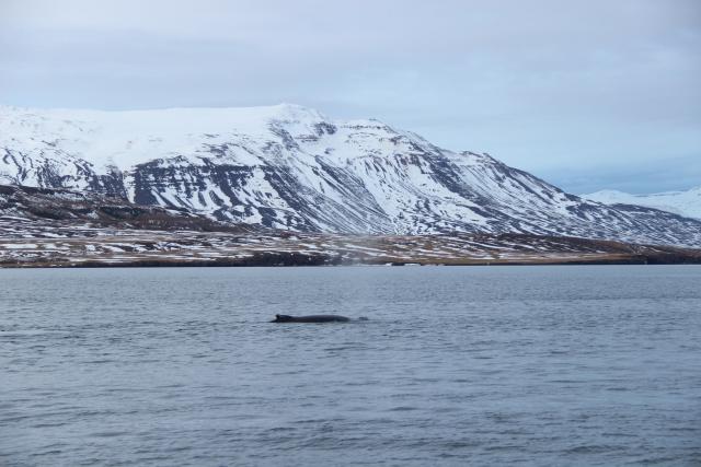 Tuesday, 25 December 2018