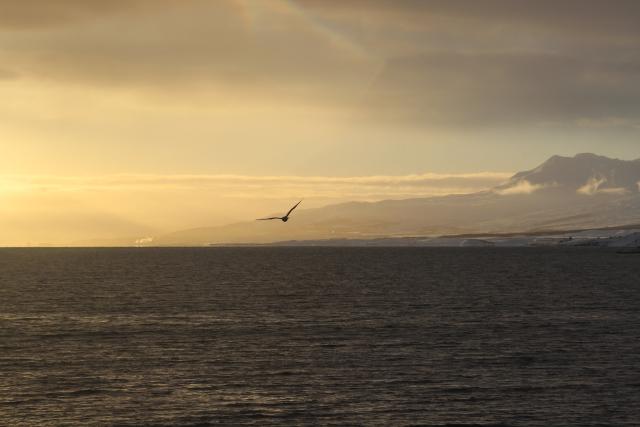 Wednesday, 6 March 2019