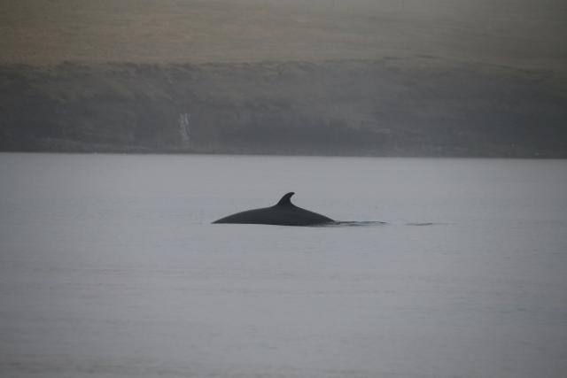 Wednesday, 01 May 2019