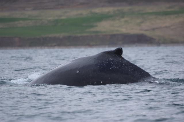 Tuesday, 07 May 2019