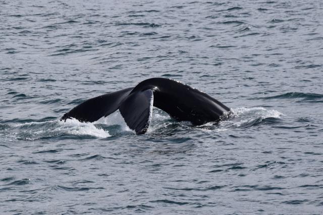 Wednesday, 08 May 2019