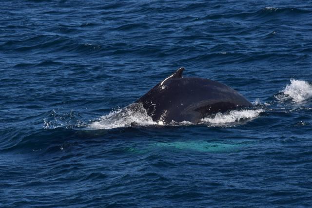 Friday, 17 May 2019