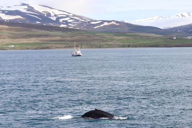 Tuesday, 21 May 2019