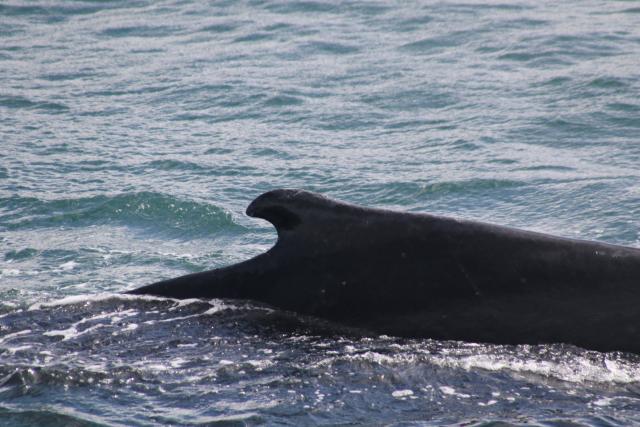 Wednesday, 22 May 2019