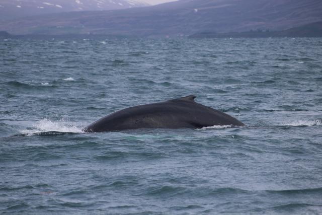 Wednesday, 29 May 2019