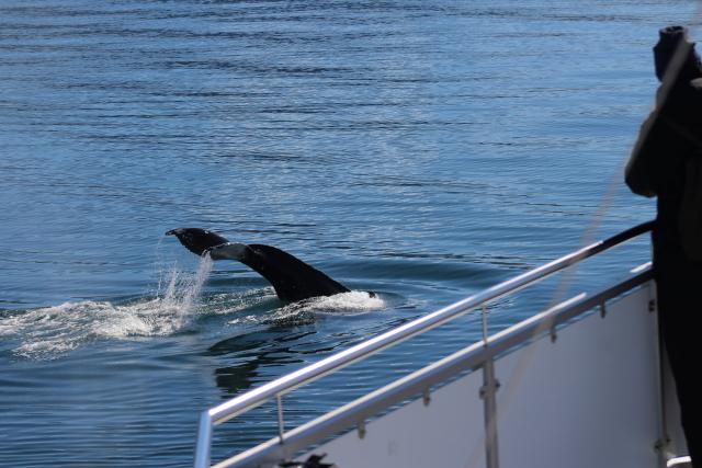 Monday, 10 June 2019