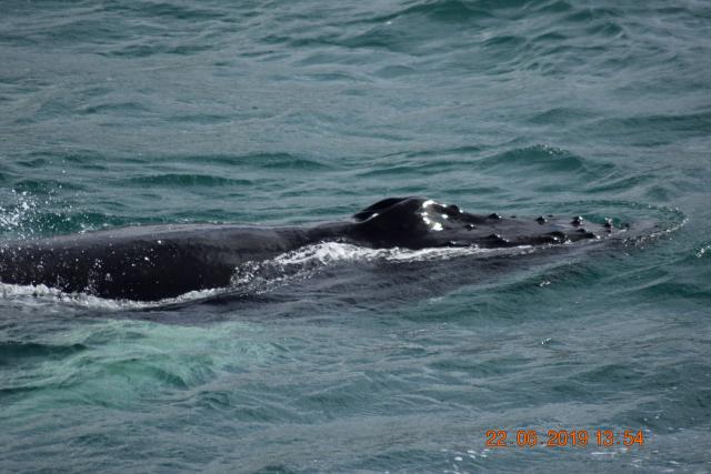 Saturday, 22 June 2019