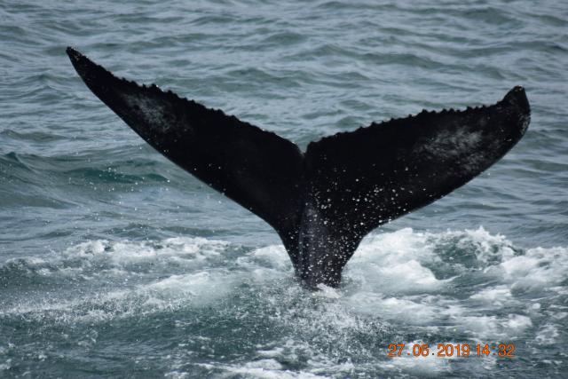 Thursday, 27 June 2019