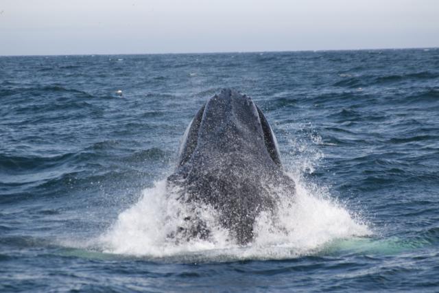 Wednesday, 17 July 2019
