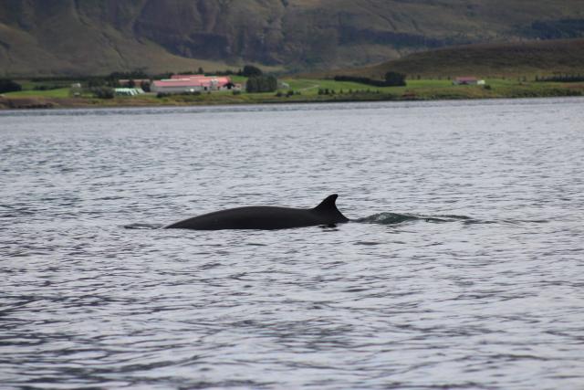 Tuesday, 30 July 2019