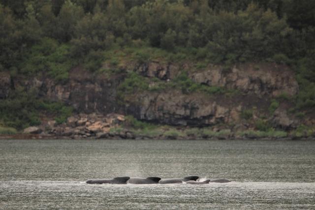 Wednesday, 14 August 2019