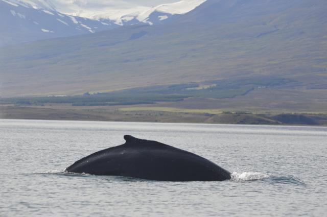Wednesday, 21 August 2019