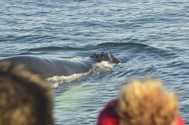 Tuesday, 24 September 2019