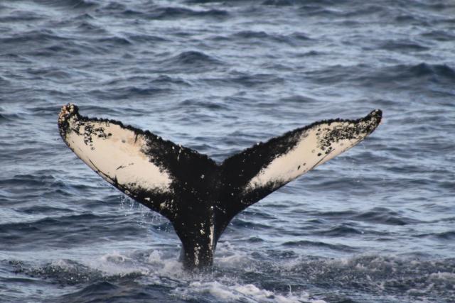 Friday, 18 October 2019