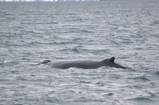 Tuesday, 19 November 2019