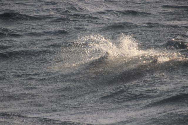 Tuesday, 12 March 2019