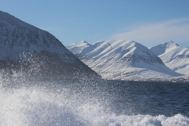 Thursday, 21 March 2019