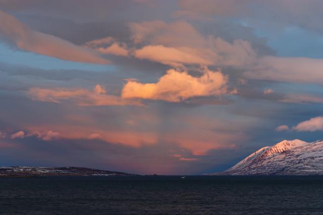 Wednesday, 2 January 2019