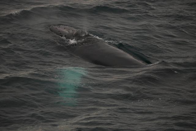 Wednesday, 12 June 2019