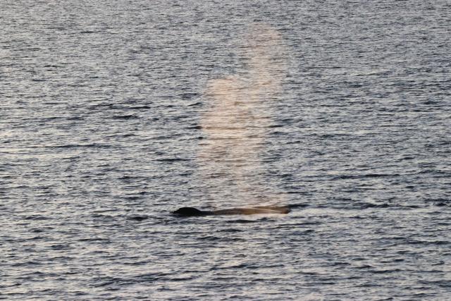 Tuesday, 22 January 2019