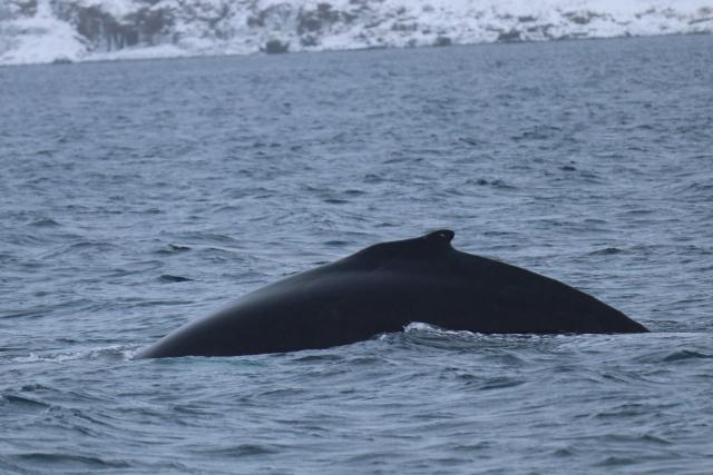Thursday, 24 January 2019